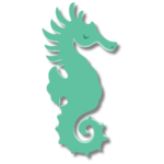About us page cartoon graphic of spearmint colored seahorse with shadow
