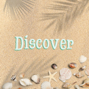 Discover