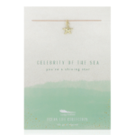 Lucky Feather Starfish Necklace on display card reading "Celebrity of the sea you're a shining star". Gold starfish charm on nylon cord.