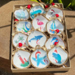 12 Shells of Christmas seashell ornament set of 12 gold leaf shell ornaments each with a different sea or beach inspired image. Shells are numbered 1-12 and pictured in packaging box.